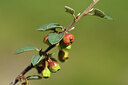 BUITEN BEELD Foto: 424865