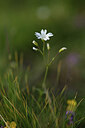 BUITEN BEELD Foto: 424914