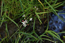 BUITEN BEELD Foto: 424915