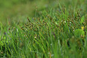 BUITEN BEELD Foto: 424931