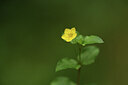 BUITEN BEELD Foto: 424966