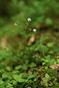 BUITEN BEELD Foto: 424989