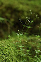 BUITEN BEELD Foto: 425028