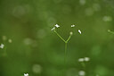 BUITEN BEELD Foto: 425029