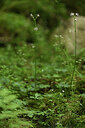 BUITEN BEELD Foto: 425031