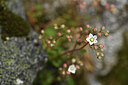 BUITEN BEELD Foto: 425045