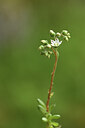 BUITEN BEELD Foto: 425047