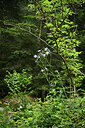 BUITEN BEELD Foto: 425048