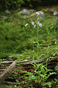 BUITEN BEELD Foto: 425049