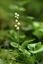 BUITEN BEELD Foto: 425051