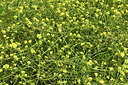 BUITEN BEELD Foto: 425085
