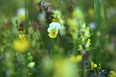 BUITEN BEELD Foto: 425112