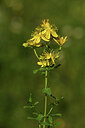 BUITEN BEELD Foto: 425150