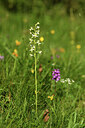 BUITEN BEELD Foto: 425151