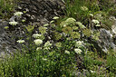 BUITEN BEELD Foto: 425213