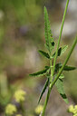 BUITEN BEELD Foto: 425219