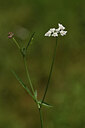 BUITEN BEELD Foto: 425220