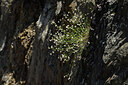 BUITEN BEELD Foto: 425223