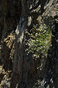 BUITEN BEELD Foto: 425224