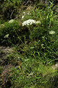 BUITEN BEELD Foto: 425228
