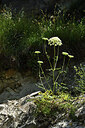 BUITEN BEELD Foto: 425234