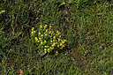 BUITEN BEELD Foto: 425308