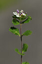 BUITEN BEELD Foto: 425317