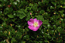 BUITEN BEELD Foto: 425382