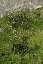 BUITEN BEELD Foto: 425392
