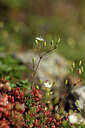 BUITEN BEELD Foto: 425401