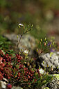 BUITEN BEELD Foto: 425402