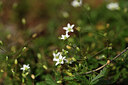 BUITEN BEELD Foto: 425403