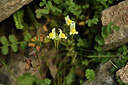 BUITEN BEELD Foto: 425406