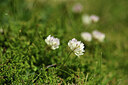 BUITEN BEELD Foto: 425417