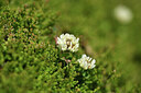 BUITEN BEELD Foto: 425421