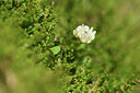 BUITEN BEELD Foto: 425422