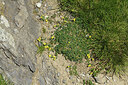 BUITEN BEELD Foto: 425445