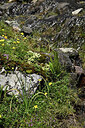 BUITEN BEELD Foto: 425450