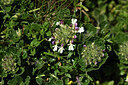 BUITEN BEELD Foto: 425451