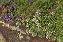 BUITEN BEELD Foto: 425461