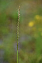 BUITEN BEELD Foto: 425493