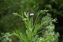 BUITEN BEELD Foto: 425517