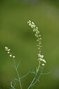 BUITEN BEELD Foto: 425525