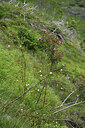 BUITEN BEELD Foto: 425545