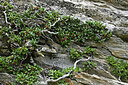 BUITEN BEELD Foto: 425551