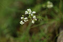 BUITEN BEELD Foto: 425586