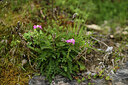 BUITEN BEELD Foto: 425587