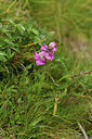 BUITEN BEELD Foto: 425626