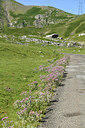 BUITEN BEELD Foto: 425666