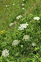 BUITEN BEELD Foto: 425670